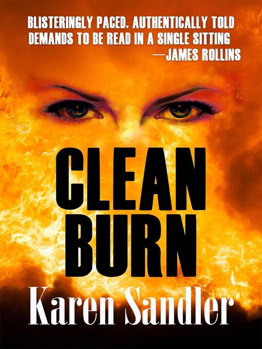 Title details for Clean Burn by Karen Sandler - Available